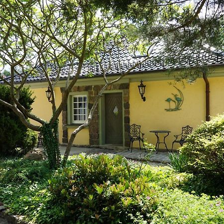Hanghaus Der Villa Oderblick Oderberg Bagian luar foto
